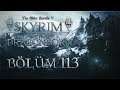 Skyrim Special Edition - EjderDoğan Efsanesi - Bölüm 113 - (330+ Modlu Survival Seri 2019)