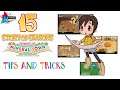 Story of Seasons: Friends of Mineral Town (Switch, PC): 15 Newbie Tips and Tricks