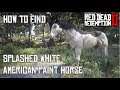 Where I Found the Splashed White American Paint Horse - Red Dead Redemption 2