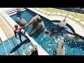 سبايدرمان يربي أسماك القرش في المسبح 2 قراند 5 GTA V Spiderman Raises Sharks 2
