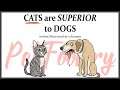 Cats Are Superior To Dogs - Funny Pet Comics | Pet_Foolery Comic Dub