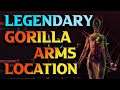 Cyberpunk 2077 Legendary Gorilla Arms Location