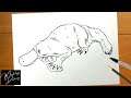 How to Draw a Platypus Easy Step by Step