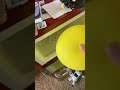 I tried to do a experiment (failed)