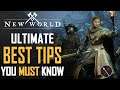New World Complete Beginners Guide: Things You Should Know Before Playing & New World Tips