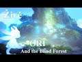 Oříškovo dobrodružství pokračuje - Ori and the Blind Forest