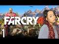 So ✨PRETTY✨ | Far Cry 4, Part 1 (Twitch Playthrough)