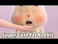 Super Cute Fat Rabbit Crying | Shorts