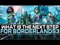 What Is The Next Step For Borderlands 3? Crossplay, Future Content, DLC Characters? (Honest Opinion)