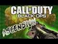 Working As A Team "Ascension" Black Ops Zombies