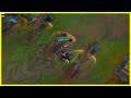 You Can Do That?! - Best of LoL Streams #1101