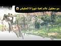 مو معقول😱 شكل عالم لعبة فورزا هورايزن 5 الحقيقي اللي تصممت عليه اللعبه صدمه😱
