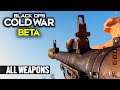 Call of Duty BLACK OPS COLD WAR 'BETA' — ALL Weapons SHOWCASE
