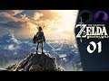 Let's Play The Legend Of Zelda Breath Of The Wild - Part 1 - The "Woman" Shows Her Skillz!