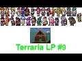 NPCs Ordnen 1 - Terraria LP #9