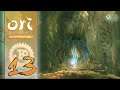 Ori and the Blind Forest Definitive Edition - Lets Play - 13 - Ginsobaum - [HD60|Deutsch]