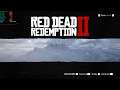Red Dead Redemption 2 on PC in 1440p - RTX 2060 6GB + Ryzen 5 1600 @3,9ghz + 16 GB RAM (UPDATED)