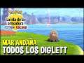 TODOS los DIGLETT en MAR ANDANA (Localización) | Pokemon Espada y Escudo DLC La Isla Armadura