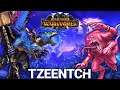TZEENTCH Full Unit Roster Reveal - Doom Knights, Heralds, Lords & Units - Total War Warhammer 3