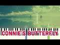 🎹Connie's Butterfly - Pure Piano from Shardad Rohani (Piano Tutorial Synthesia)❤️♫