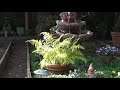 Dad's Backyard Hummingbird Water Fountain Part 1