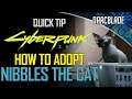 HOW TO ADOPT NIBBLES THE CAT : CYBERPUNK 2077 QUICK TIP