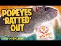 POPEYES SHUTS DOWN OVER VIRAL RAT INFESTATION VIDEO | Double Toasted