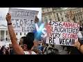 Black vs Vegan Activism Debate w/ Badass Vegan