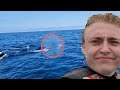 I SAW THIS IN THE MIDDLE OF THE OCEAN (vlog #2)
