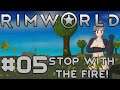 Let's Play RimWorld S3 - 05 - Stop with the Fire!