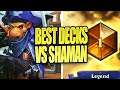 The Best Decks to Beat Evolve Shaman - Hearthstone
