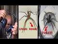 Try Not To Get Scared Challenge HUGE BUG EDITION!!! Part 2