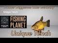 Unique Tench - Sander Baggersee Lake Germany - Fishing Planet Guide