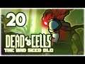 HE CAN'T BE STOPPED!! [3BC] | Let's Play Dead Cells: Bad Seed DLC | Part 20 | 2020 Update Gameplay