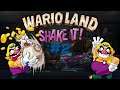 Drew Plays - Wario Land: Shake It! - Stream 2 (FINALE)