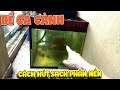 Kỳ Công cách làm sạch nền bể cá cảnh  ( Aquarium Clean DIY ) | Văn Hóng