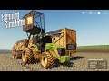 MEGA SAFRA DE CANA | Farming Simulator 2019 | OS COLONOS