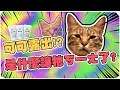 【老皮實況】89元就可以讓可可露出?是什麼讓可可如此ㄎㄧㄤ?!| uno洗顏