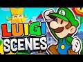 All Luigi's Cutscenes In Paper Mario Origami King