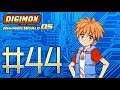 Digimon World DS Playthrough with Chaos part 44: Kamemon Hunt
