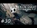 Hollow Knight - #30 - Próba Głupca