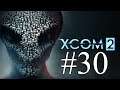 Let's Play XCom 2 War of the Chosen 30 - Reyerta Callejera