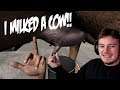 MILKING A COW IN HAND SIMULATOR! WITH NO CLOTHES!