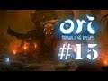 Ori and the Will of the Wisps #15- Het Schimmelwoud in!
