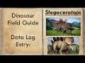 Stegoceratops Tour Facts: JWE