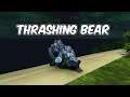 Thrashing Bear - Guardian Druid PvP - WoW BFA 8.3