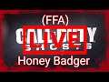 Call of duty Ghosts (FFA using the honey badger) Live Broadcast