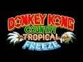 DONKEY KONG COUNTRY -TROPICAL FREEZE-