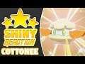 INSANELY FAST SHINY COTTONEE REACTION in Pokemon Sword and Shield