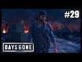 LA BONNE CHOSE A FAIRE (Days Gone #29) [FR]